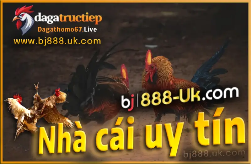 Điểm cộng lớn nhất khi trải nghiệm tại bj888 chính là hệ thống bảo mật thông tin...