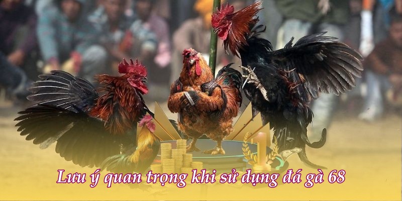 Lưu ý quan trọng khi sử dụng đá gà 68