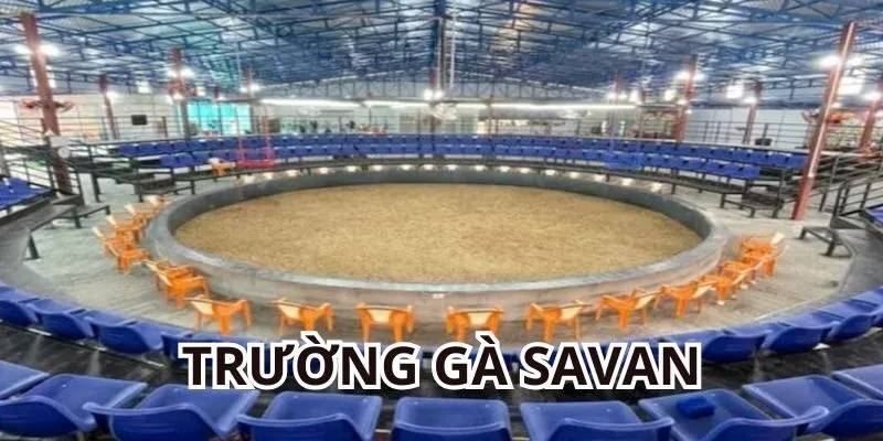 Ưu điểm khiến nhiều người tìm đến thử sức tại trường gà Savan